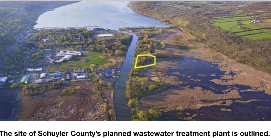 PlantOutlinedYellowREADY