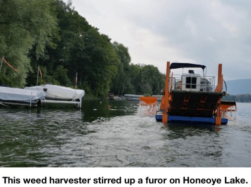 WeedHarvesterREADYF